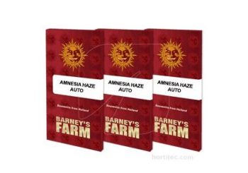 amnesia-haze-auto_packet_1_seed semillas haze